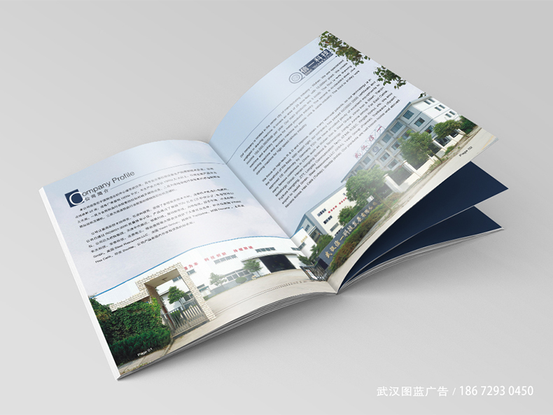 XY內(nèi)頁(yè)2